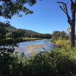View of the Deerfield River from the Byway in east Charlemont